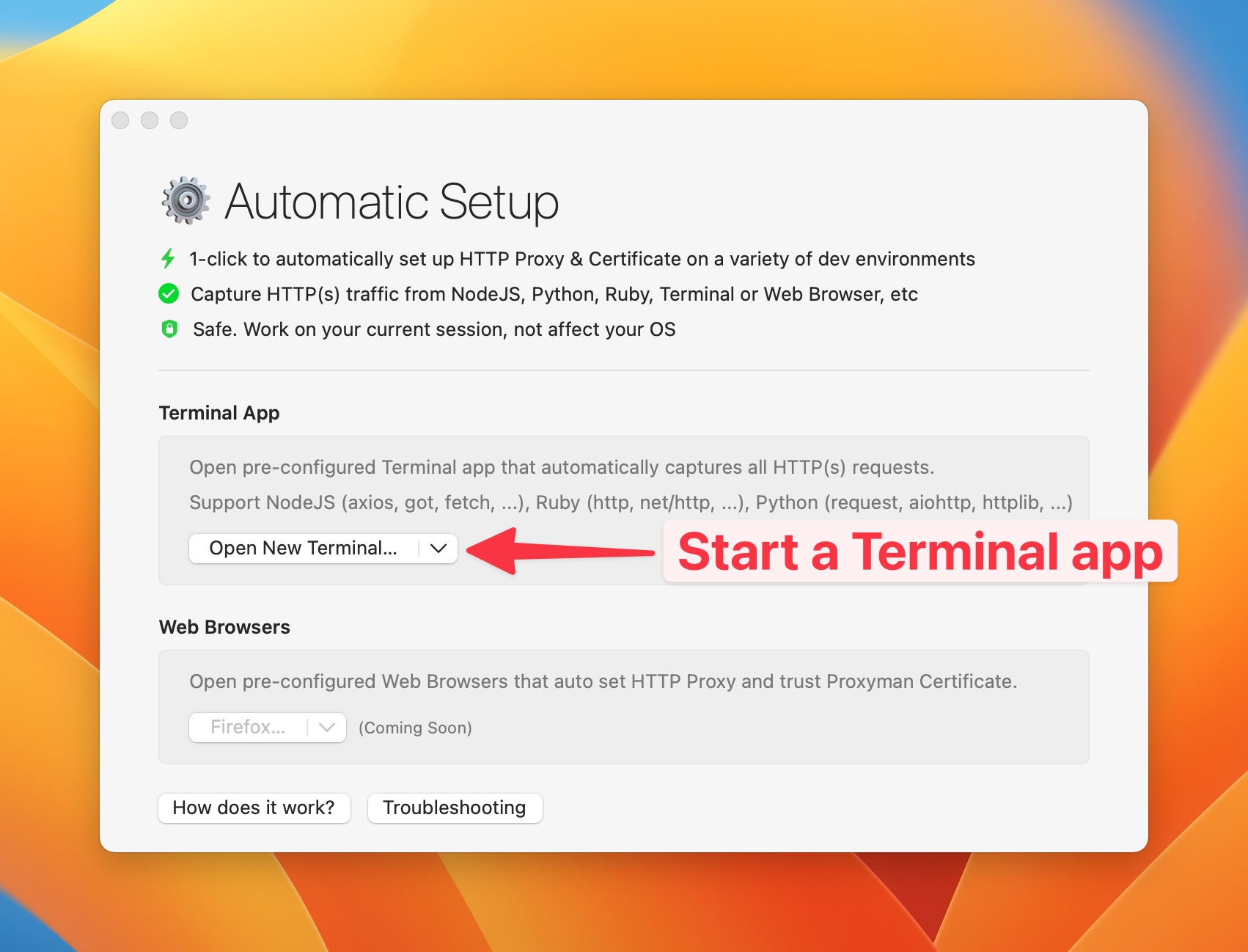 Open pre-configured Terminal app which can capture Axios HTTP Traffic with zero configuration