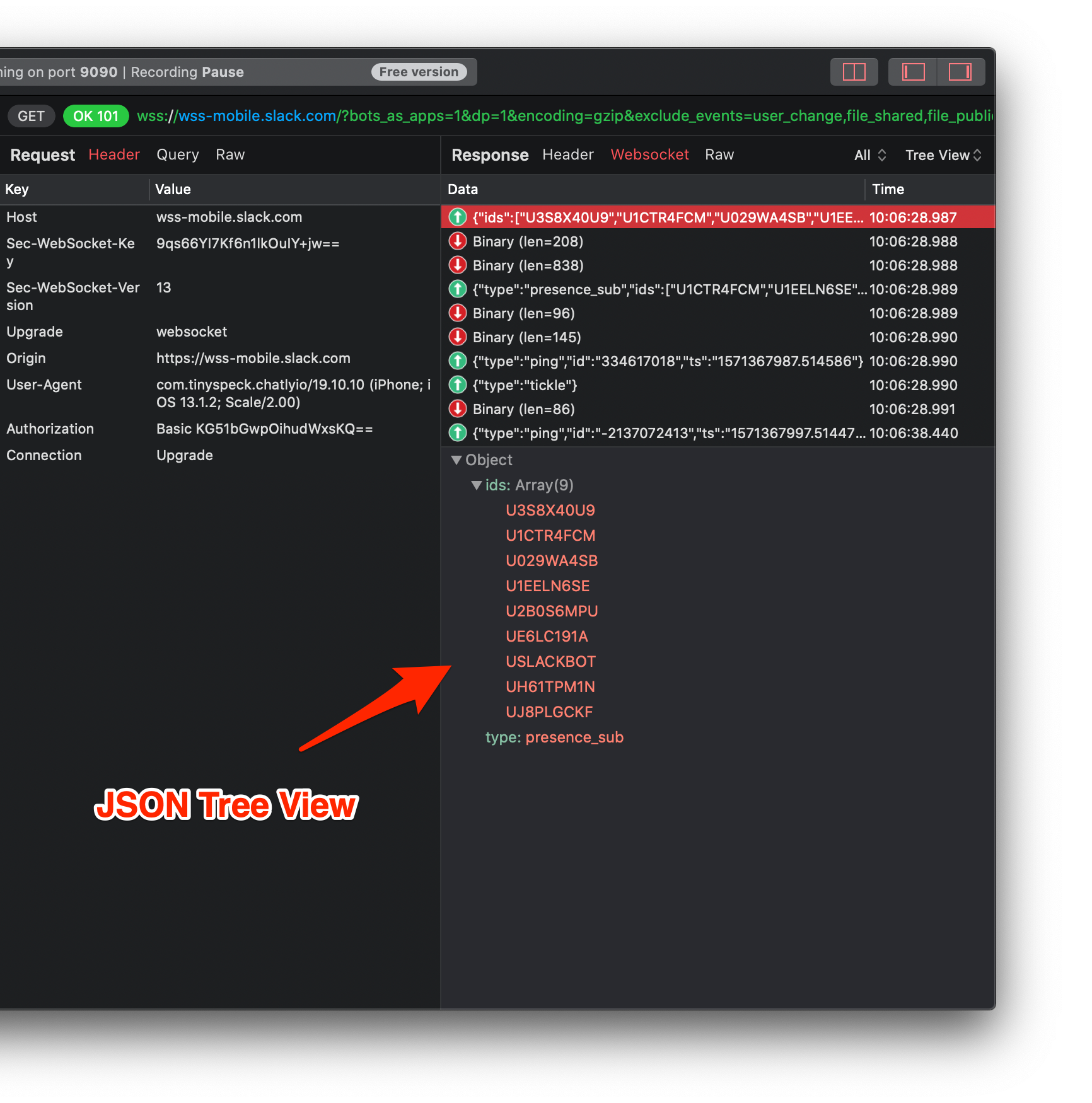 WebSocket from iOS Device